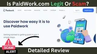 PaidWork Review: Legit Or 