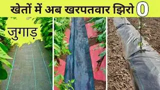 खरपतवार का पक्का इलाज | Guaranteed Solution for Weed Control | Boost Farming Profits | 2024