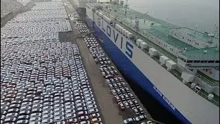 Аукцион. Журушу тууралу. Маалымат Кореа аукцион LOTTE. Autohab. GLOVIS