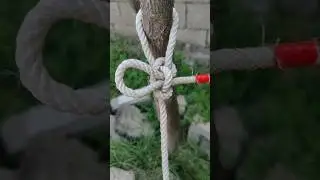 Essential Knots You Need To Know