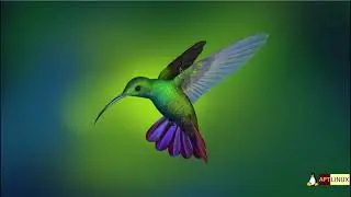 Deepin DE on Arch Linux | Deepin 20.2.2