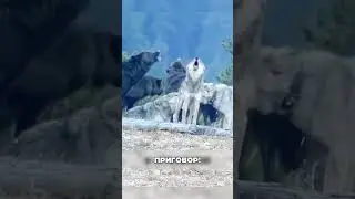 ЖЕСТОКАЯ справедливость в горах 😤💥🏔️