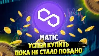 Polygon - проект, который всех удивит. Разбор токена MATIC