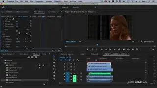 Add Effects to a Multicam Sequence in Adobe Premiere Pro
