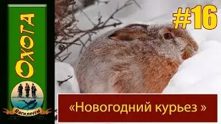 Охота на зайца. 