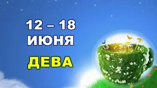 ♍ ДЕВА. 🌞 С 12 по 18 ИЮНЯ 2023 г. 🌿 Таро-прогноз 🪷