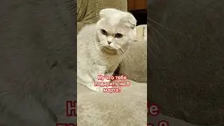 Ну что тебе подарить... 
