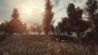 S.T.A.L.K.E.R GAMMA - Invictus - Part 1