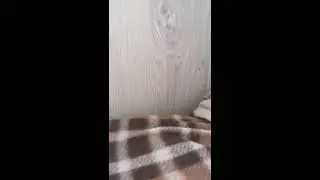 Все мои фигурки scp