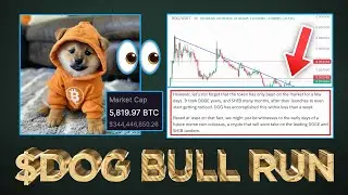 $DOG Bull Run Incoming 📈🚀