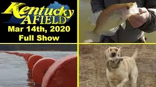 March 14th, 2020 Full Show - Livescope Fishing, Modified-Unified, Shed Hunting with Dogs
