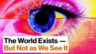 Do Our Senses Reveal the World—Or Do They Obscure It? | Beau Lotto | Big Think