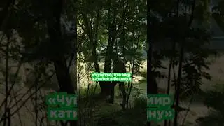 «Чувство, что мир катится в бездну»