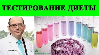 Тестирование вашего питания с мочой и пурпурной капустой - Доктор Майкл Грегер