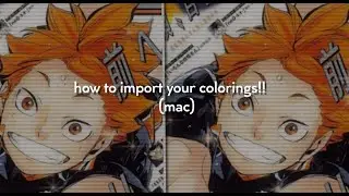 how to import your colorings if you can't find looks folder (after effects) (Mac)