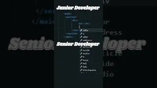Junior vs Senior Developer 😱🥱