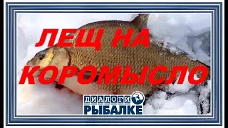 Диалоги о рыбалке - 057 / Лещ зимой на коромысло
