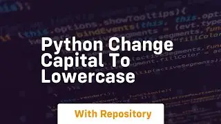 python change capital to lowercase