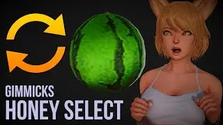 Honey Select Tutorial : Gimmicks