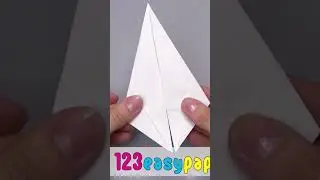 paper goose 