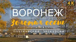 Воронеж. Золотая осень  / 4K ( ULTRA HD)