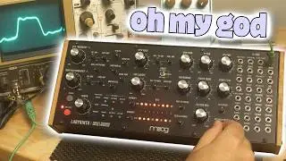 Labyrinth is Unlike any other Moog...