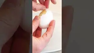 Mixing an egg in its shell to make a golden egg