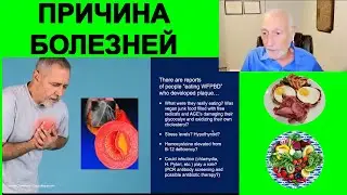 Найдена Причина Болезней! Лечение Сердца, Диабета. Ответы на Вопросы |  Доктор Майкл Клапер