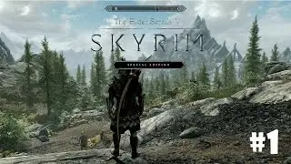 Skyrim: Special Edition (Подробное прохождение) #1 - Новое большое приключение