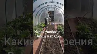 Какие удобрения вношу в грядку перед посадкой разных культур 
