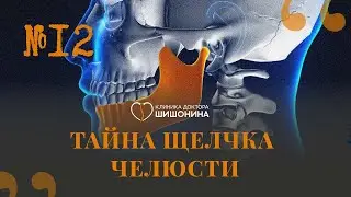 Гнатология с  А.Е. Лезгишвили. ПОДКАСТ 
