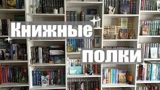 ТУР ПО КНИЖНЫМ ПОЛКАМ 📚 все мои книжные полки