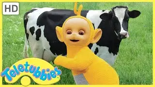 ★Teletubbies English Episodes★ Milking Cows ★ Full Episode - HD (S06E136)