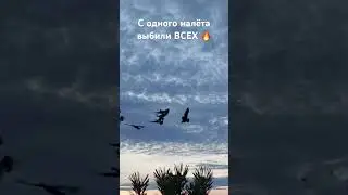 Супер налёт гуся 