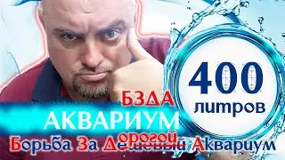 Аквариум 400 литров. БЗДА.