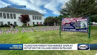 'Flags for Forgotten Heroes' display setup on the Village Green in Pelham