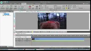 Как написать текст на видеозаписи в VS DC Free Video Editor