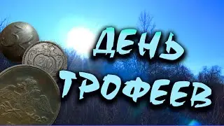 УДАЧНЫЙ КОПО-ШУРФ / ВОТ В ТАКИЕ ДНИ И НАДО КОПАТЬ !