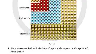 11th Class Ncert Lab Manual/CBSE Board Practical Handbook .Activity-19 Solution