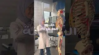 حُلم سارة الصغيرة 🎀