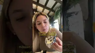 ХИНКАЛИ ДЛЯ БОГАТЫХ? 🤪 