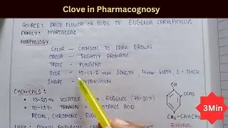 Clove in pharmacognosy | clove chemical constituents | Eugenol | uses of clove | morphology of clove