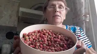 Болталочка , /под ягоды.../.