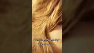 Полное видео в профиле 😮 ТГ: ДНЕВНИК РЕАЛЬНОЙ ПОЛИДОРИ