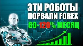 Роботы для форекс (обзор от производителя) l Benjamin l Hamilton l