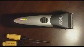 How to repair clipper Moser 1871 (and same models) motor problems