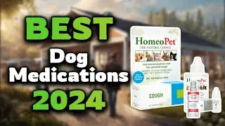 Top Best Dog Medications in 2024 & Buying Guide - Must Watch Before Buying!