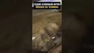 Судно атаковало нечто похожее на человека