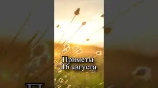 Приметы 16 августа