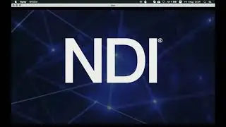 NDI processing setup in Nimble Streamer